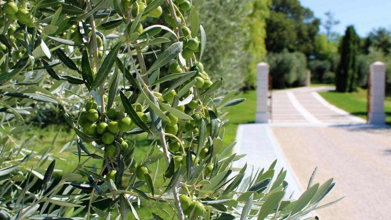 Borgo Romantico Green Relais Cavaion Veronese Exteriér fotografie